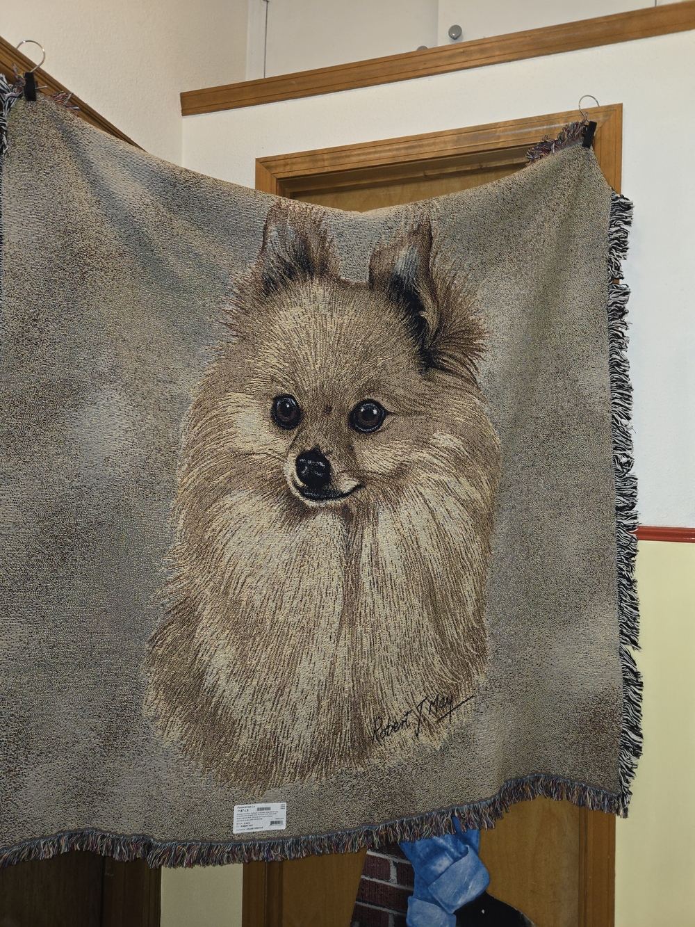 Pomeranian 100% Cotton Lap Square Throw Blanket